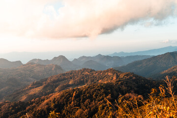 浦东机场现2例确诊（浦东机场现2例确诊人员）