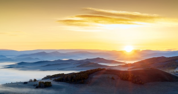 除夕高速免费时间2024（除夕高速免费到几号）